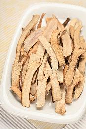 创意音游《古树旋律2》宣布明年1月正式发售